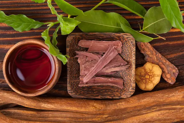ayahuasca