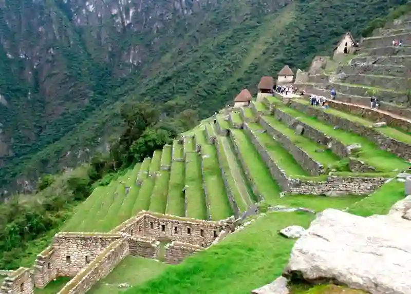 The Agricultural Terraces