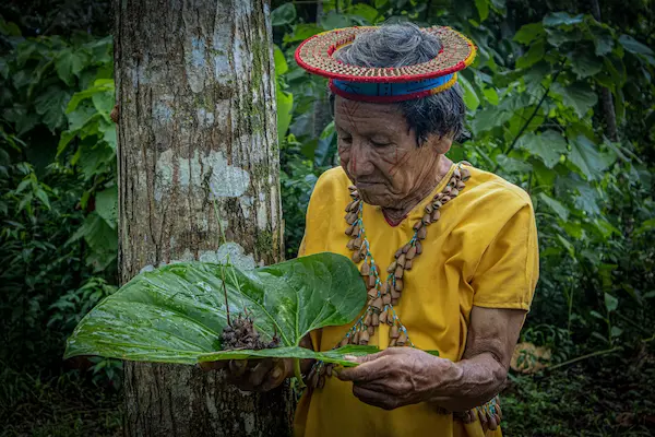 Amazonian communities