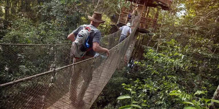 Peruvian Amazon