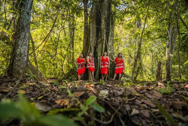 Ucayali selva peruana