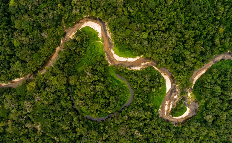 What are the Peruvian Amazon Tribes