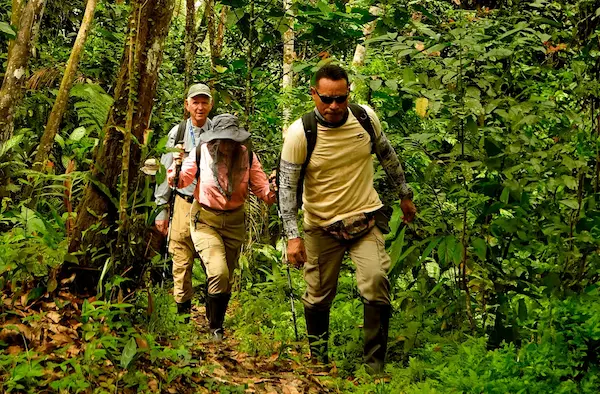 Jungle walk