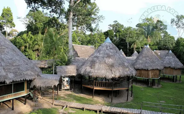 Jungle accommodations