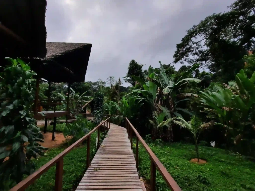 Why Amazon Garden Lodge stands out among Tambopata lodges