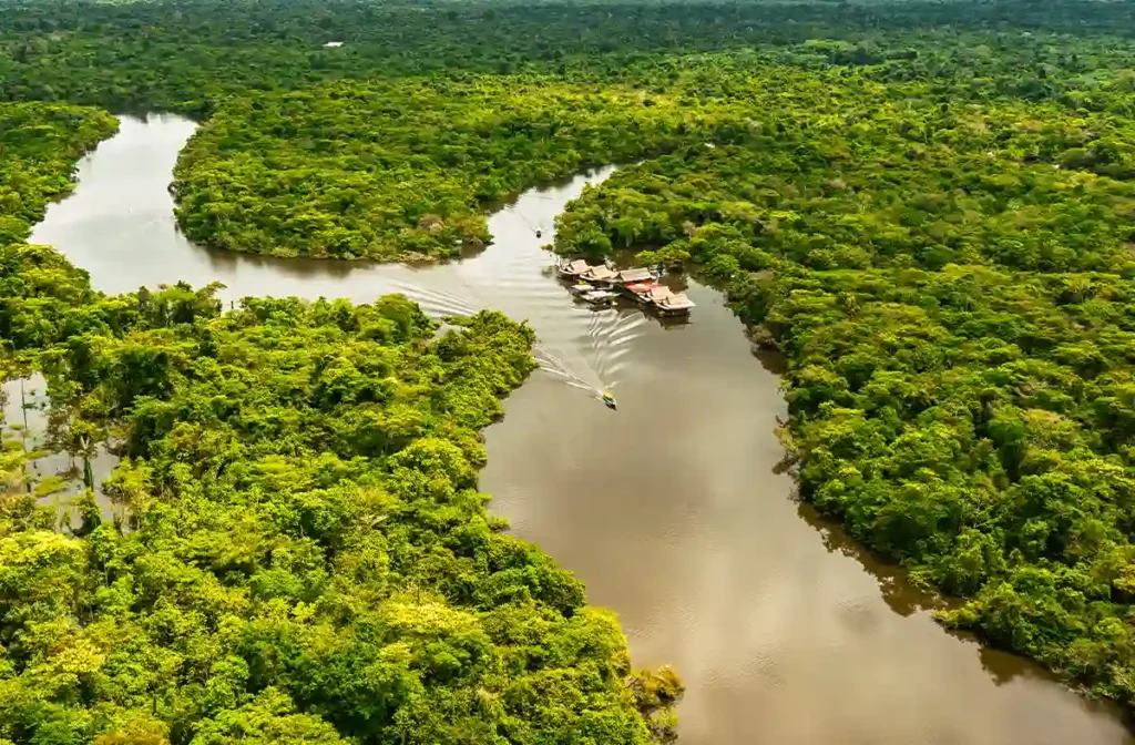 Recommendations for fishing in the amazon river in Peru