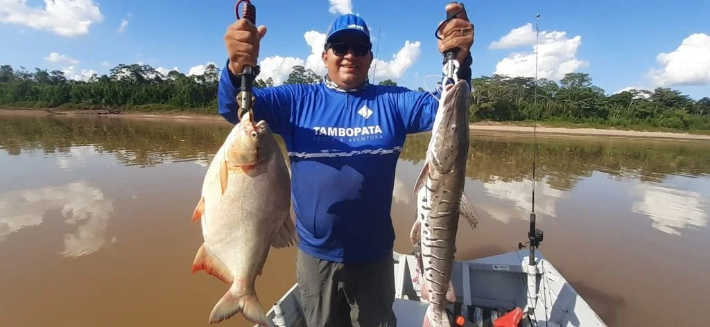 What fish live in the amazon rainforest