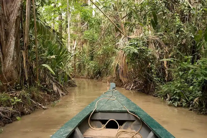 Amazon Tours