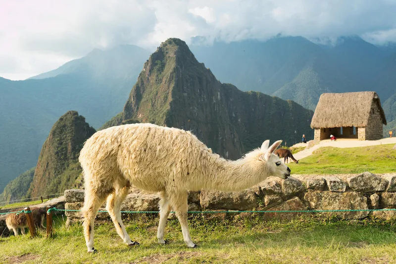 How to Get from Lima to Cusco on a Budget