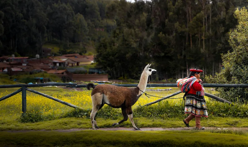 How to get from Lima to Cusco and prepare