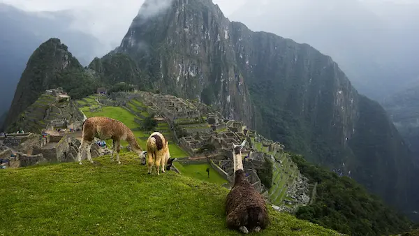 mahu picchu, tourism , cusco, puno, peru 