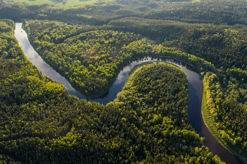 The magic of exploring the Amazon rainforest