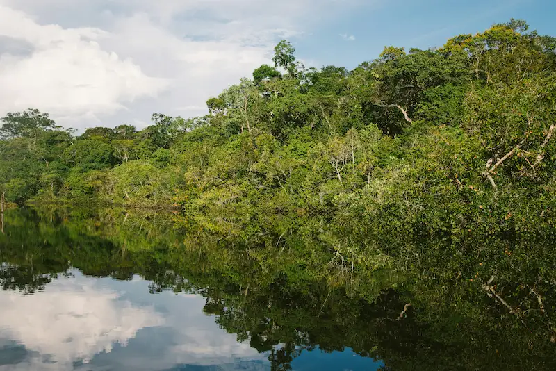 biodiversity when exploring the Amazon rainforest