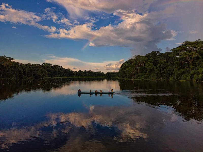 exploring the Amazon rainforest