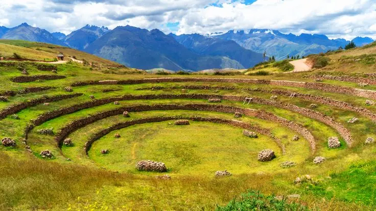 moray