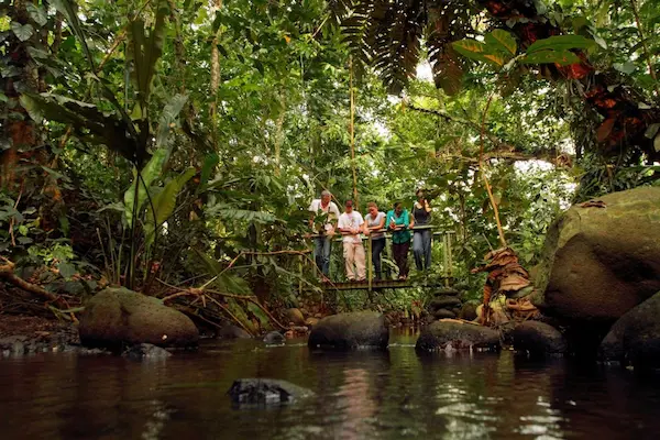 Eco tourism vs traditional tourism: key differences