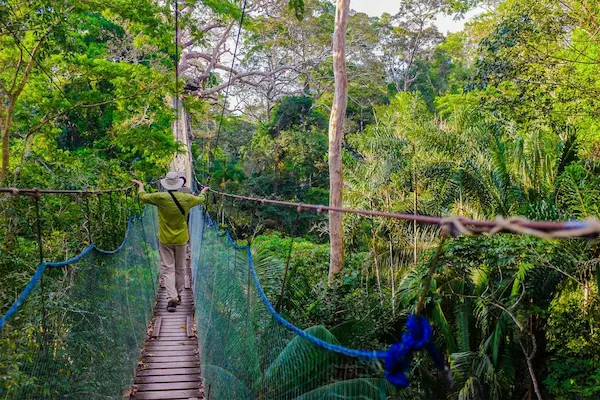 rainforest trail during sandoval lake tour Peru