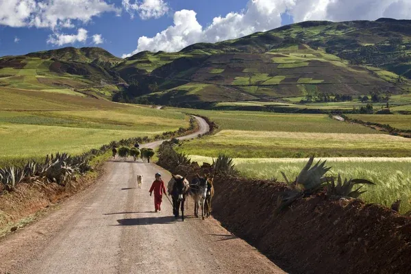 Find the best Peru tour operator for an unforgettable trip