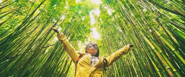 Sustainable tourism development in practice