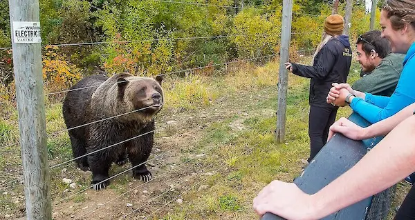 urs ensuring safety from dangerous animals in Peru