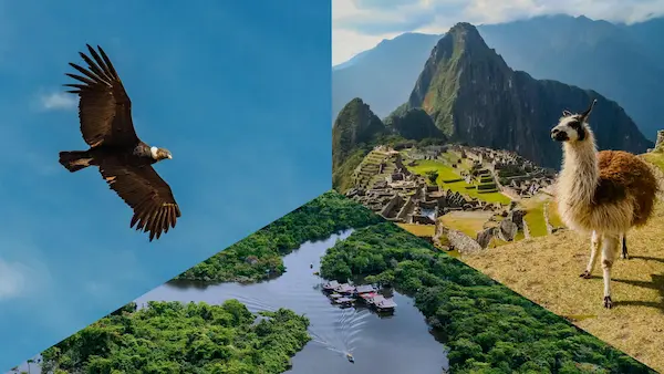 4. Peru Offers Incredible Natural Diversity