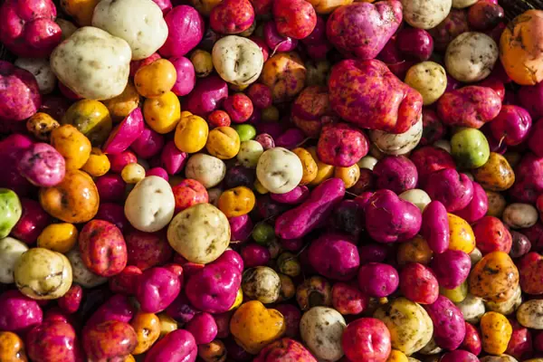 Peruvian potatoes Guide complete 2026