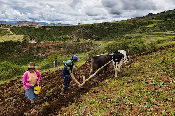 Exploring The Inca agriculture through travel