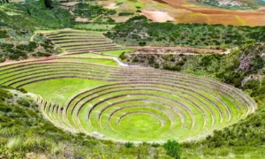 Inca farming methods: a guide to ancient Andean agriculture