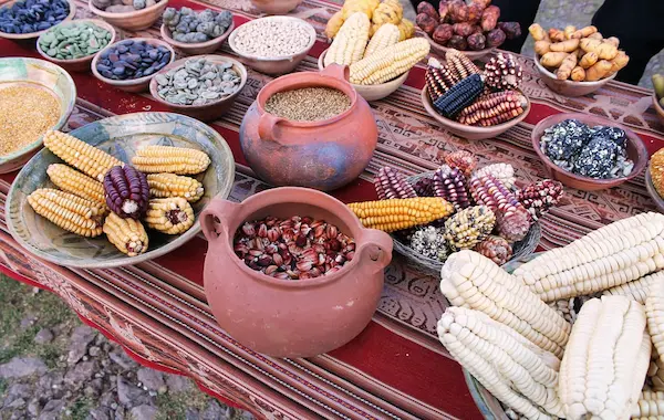 Storage and food preservation