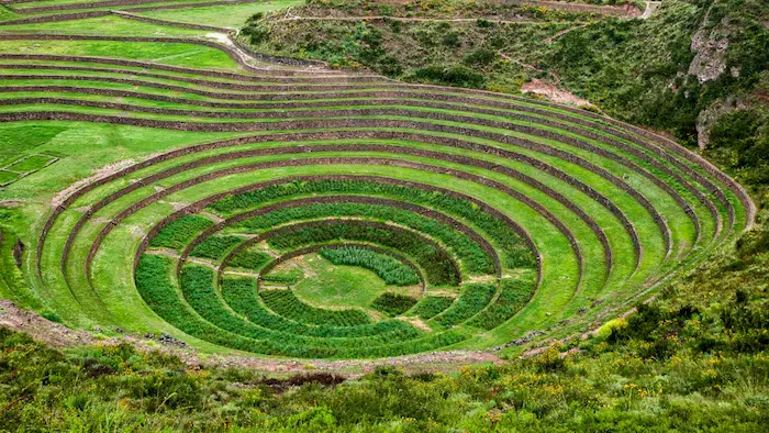 Moray