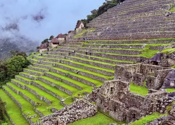 terraces and landscape design_