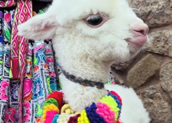 weaving techniques